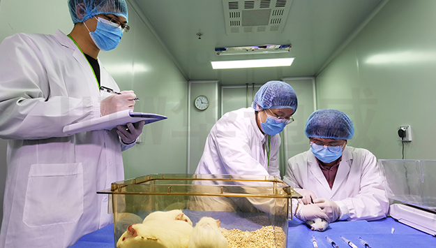 ISO 10993生物相容性测试费用多少钱？